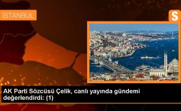 AK Parti Sözcüsü Çelik, canlı yayında gündemi değerlendirdi: (1)