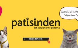 Köpek İlanları Rehberi Köpek ve Kedi İlanlarında Doğru Bilgi